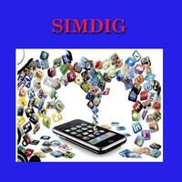 Simdig poster