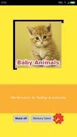 Baby Animals постер