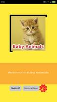 Baby Animals Affiche