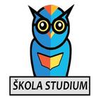 Skola Studium icon