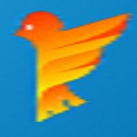 FallingBird постер