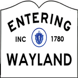 The Wayland App icône