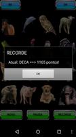 PetSongs screenshot 1