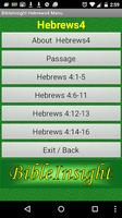 Bible Insight Hebrews 4 Plakat