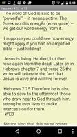 Bible Insight Hebrews 4 imagem de tela 3