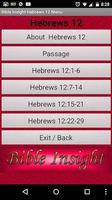 Bible Insight Hebrews 12 Affiche
