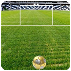 Hit Soccer Ball-icoon