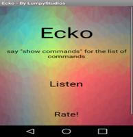 Ecko poster
