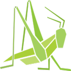 Grasshopper icône