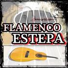 Clases Guitarra Flamenca icon