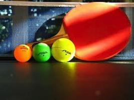 The Ultimate Ping Pong Game স্ক্রিনশট 1