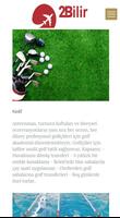 2Bilir screenshot 2