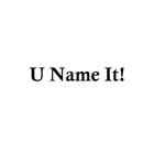 U Name It Recorder!-icoon
