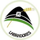 Comparsa de Labradores Villena-icoon