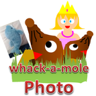 Photo Mole　Attack ２( Princess)-icoon