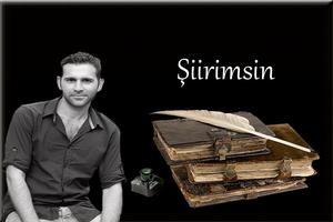 Siirimsin poster