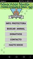 Protectora Animales Palencia постер