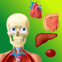 Puzzle Anatomy/gioco didattico APK 下載