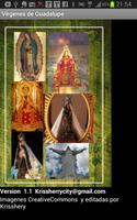 Virgen Guadalupe en el mundo poster