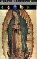 Virgen Guadalupe en el mundo تصوير الشاشة 2