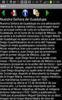 Virgen Guadalupe en el mundo تصوير الشاشة 3