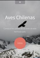 AVES CHILENAS ポスター