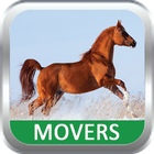 Movers icône