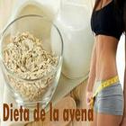 Dieta de avena icon