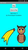 Owl Chase পোস্টার