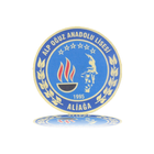 Alp Oğuz Anadolu Lisesi 001 icon