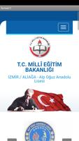 Alp Oğuz Anadolu Lisesi 001 poster