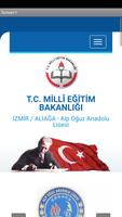 Alp Oğuz Anadolu Lisesi 001 Affiche