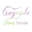 TEOG Cepte Çıkmış Sorular