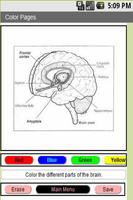 Anatomy and Physiology Quiz Ekran Görüntüsü 1