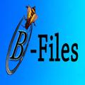 BeeFiles