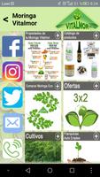 Moringa Vitalmor imagem de tela 1