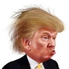 Funny Donald Trump icono