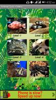 Animal Quiz Plakat