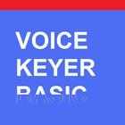 Voice Keyer Basic Zeichen