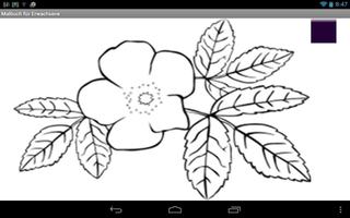Malbuch für Erwachsene Deutsch screenshot 1