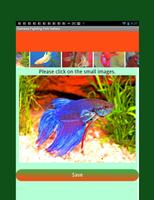 Siamese Fighting Fish Guide Screenshot 2