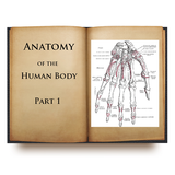 Anatomy of the Human Body I ikon
