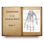 Anatomy of the Human Body I-icoon