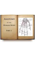 Anatomy of the Human Body I poster