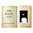 The Black Cat audiobook 아이콘