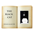 The Black Cat audiobook