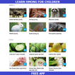 Learn Hmong for Kids