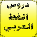 دروس الخط العربي APK