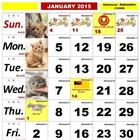 Kalendar 2015 icône