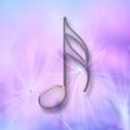 All Songs KALEO